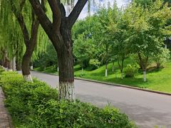 -伊犁河景区