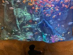 -杭州开元森泊度假乐园