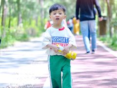 -合肥滨湖国家森林公园