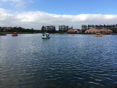 -上海长兴岛郊野公园