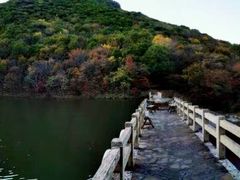 -龙道沟景区