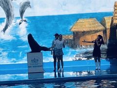 -石林冰雪海洋世界