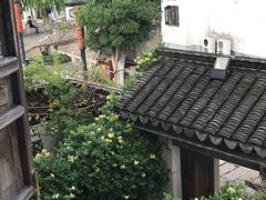 -普洱茶府(博乐广场店)