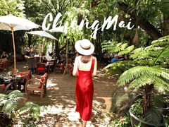 -Fern Forest Cafe