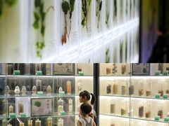 -广东中医药博物馆