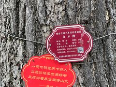 -狼山风景名胜区