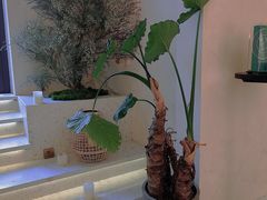 -HUATA 'Holiday Plan 花榻