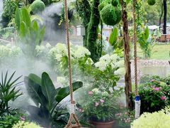 -广东花都香草世界旅游度假区