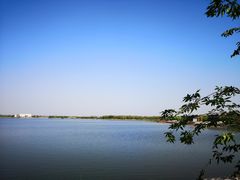 -武清南湖绿博园