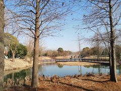 -梁鸿国家湿地公园