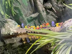 -太平洋海底世界