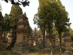 android_upload_pic-少林寺景区