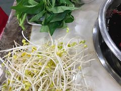 -朱氏胖子烂火锅(洪崖洞店)