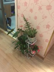 -本真坊美容美体沙龙