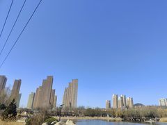 -前关湿地公园