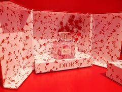-Dior迪奥(上海世茂广场店)