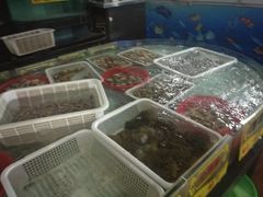 -海通1号(梅峰店)