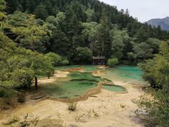-黄龙山原始森林景区