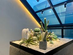 -大树餐厅(红旗街万达店)