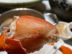 -红鼎豆捞·非遗鲍皇汤火锅(宝丰路店)