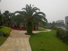 -厦门国家会计学院