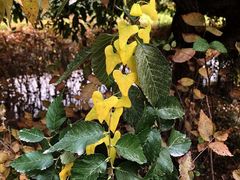 -哈密回王府景区