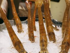 -熹悟海鲜火锅·广式打边炉