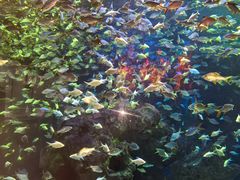 -成都浩海立方海洋公园