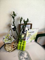 -序言科技美肤中心