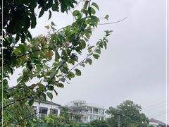 -听风阁农家私房菜茶楼(龙坞店)