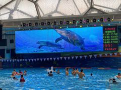 -水立方嬉水乐园