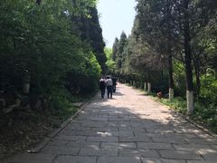 -高尔山公园