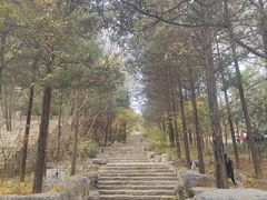 -北京周口店北京人遗址博物馆