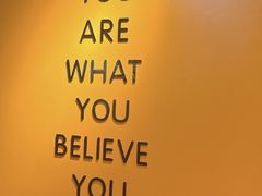 -健身专家Wellness Experts