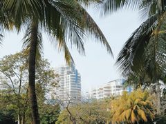 -白沙门生态公园