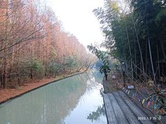 -同里国家湿地公园