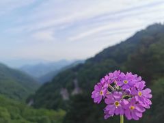 -大水川景区