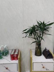 -TRIMS HAIR 修剪造型·烫染接发