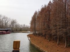 -溱湖国家湿地公园