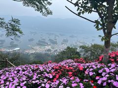 -仙岛湖旅游风景区