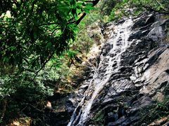 -梧桐山风景名胜区