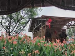 -江门古劳水乡旅游区