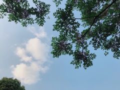 -九里河湿地公园