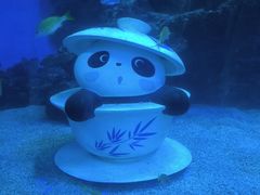 -海合安成都极地海洋公园