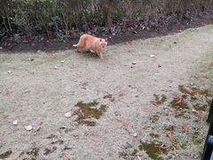 -黄兴公园