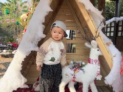 -HERRE·FARM 赫尔露营农场·团建聚会包场