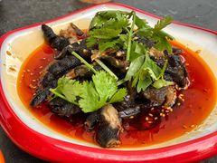 -向外鱼乐·土菜·虹鳟鱼