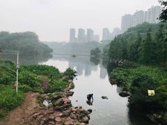-重庆彩云湖湿地公园