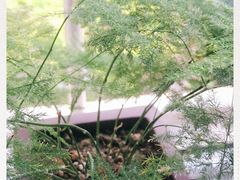 -1点点(二七万达店)
