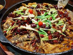 老板恋上鱼-老板恋上鱼(高新万达店)